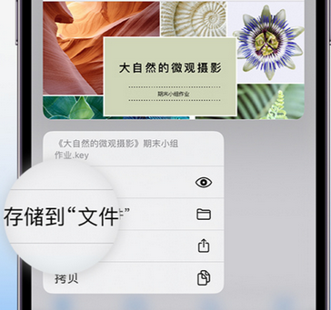 柯桥apple维修中心分享iPhone文件应用中存储和找到下载文件