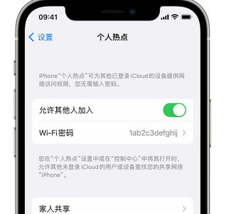 柯桥apple服务站点分享iPhone上个人热点丢失了怎么办 