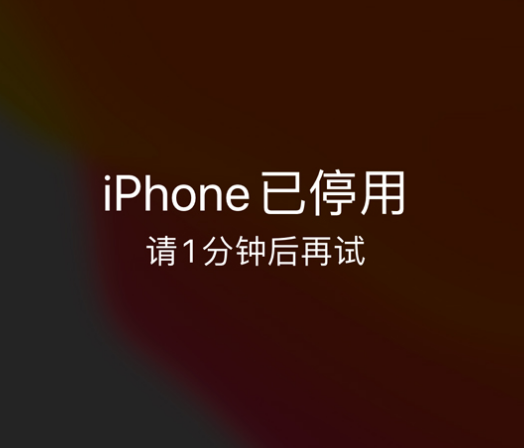 柯桥苹果手机维修分享:iPhone 显示“不可用”或“已停用”怎么办？还能保留数据吗？ 