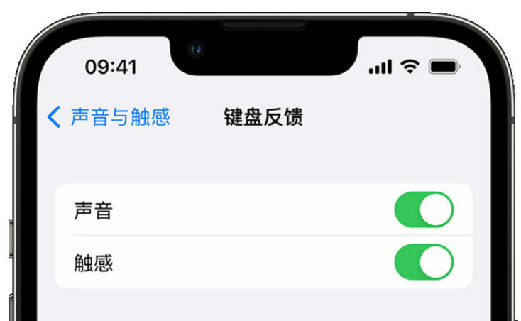 柯桥苹果手机维修分享iPhone 14触感键盘使用方法 