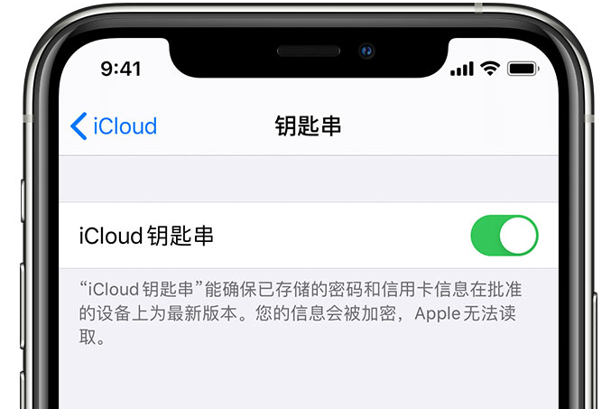 柯桥苹果手机维修分享在 iPhone 上开启 iCloud 钥匙串之后会储存哪些信息 