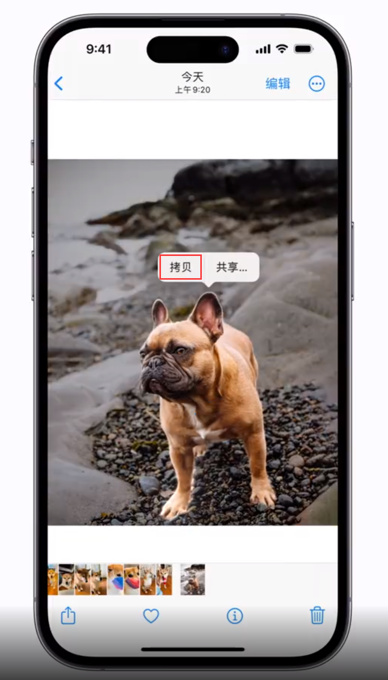 柯桥苹果手机维修分享 iOS 16 自带一键抠图功能 