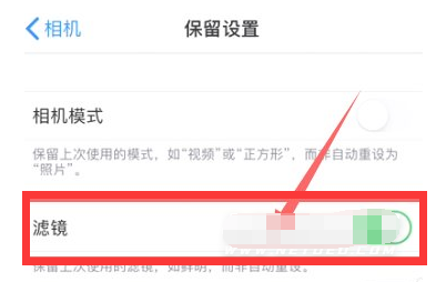 柯桥苹果13维修分享iPhone13拍照有绿点是怎么回事 