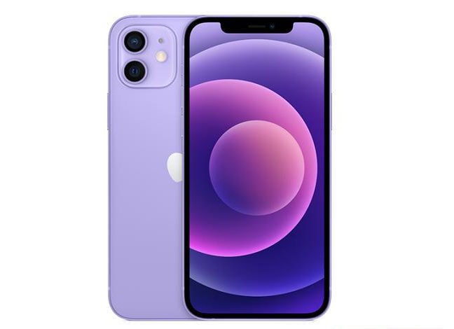 柯桥苹果手机维修分享现阶段要不要入手紫色版iPhone12 