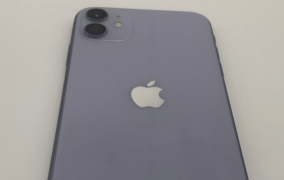 柯桥苹果11系统维修分享iPhone11手机系统崩溃无法开机如何解决 